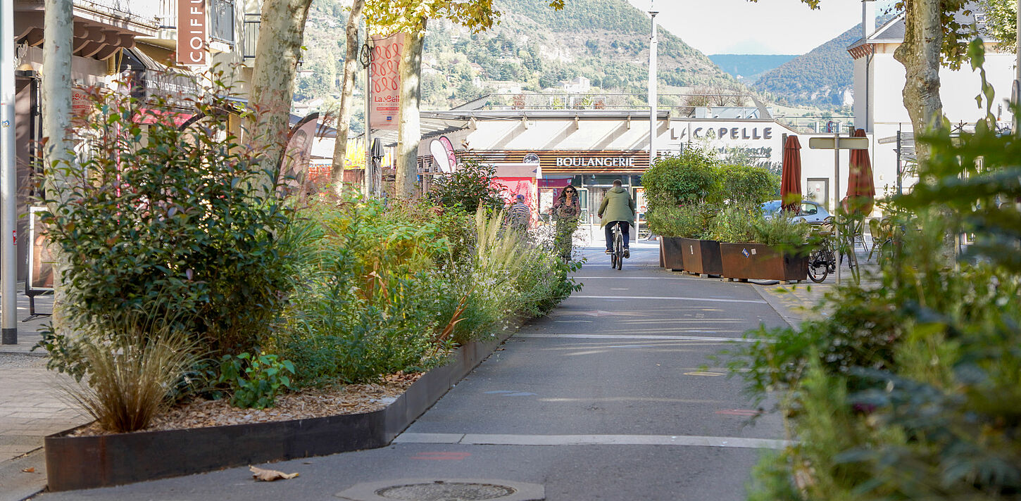 Végétalisation du cœur de ville