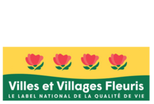 Ville de Millau (Retour à la page d'accueil)